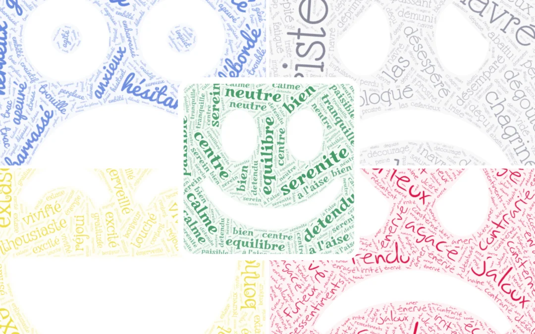 Et vous, vos émotions vous en faites quoi? (partie 2)