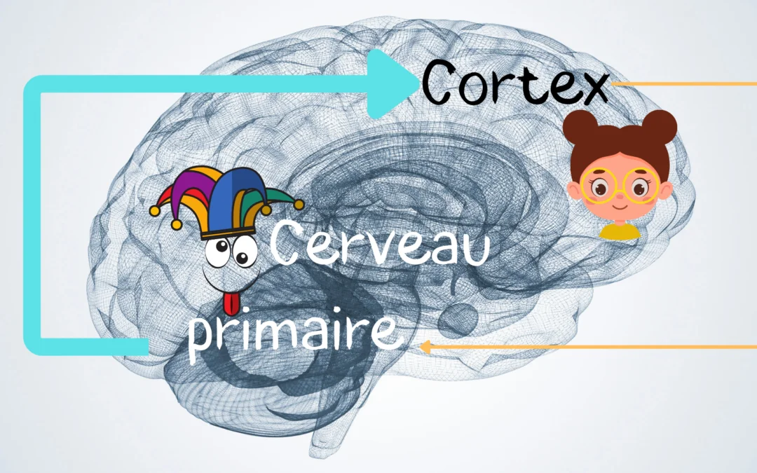 Pourquoi ce que vit notre corps fait-il effet sur notre mental ?